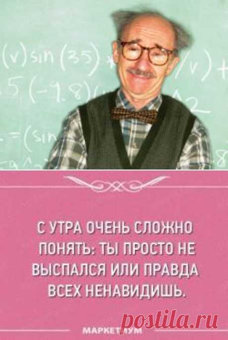 40 гениальных и остроумных высказываний преподавателей | Полезные советы