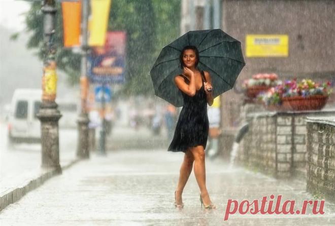 Непредсказуем летний дождь. 
Он чем-то на тебя похож: 
Дитя стихий, как разойдется - не уймешь...