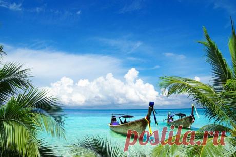 Море и пальмы картинки и анимации, фотографии морских берегов с пальмами