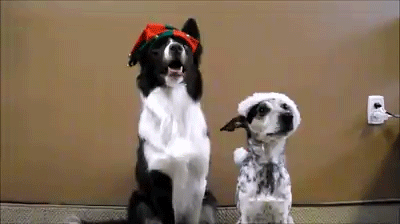 Улыбайся, нас снимают....