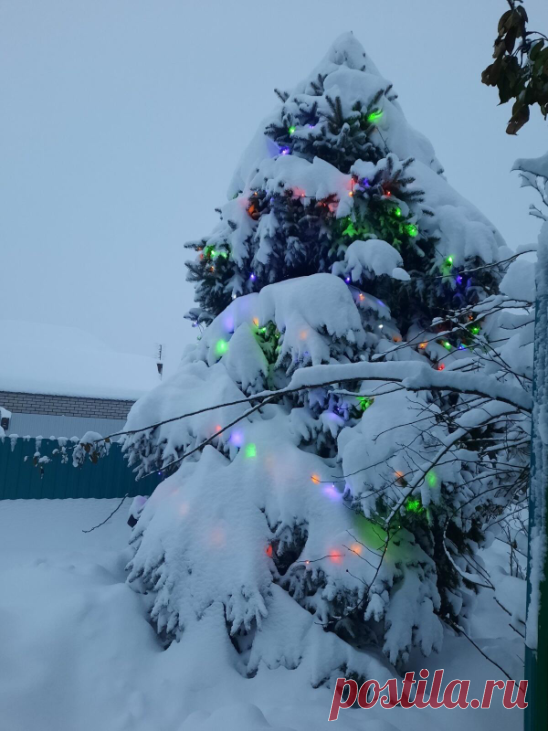 ГЕРОЙ НАШИХ СНЕЖНЫХ БУДНЕЙ.

Мы привыкли героями считать тех, кто отличился на войне или  в будни кого- то спас. А как быть с героями  дня, которые не для всех заметны и не каждый о них услышит!?
Такой  живёт в нашей станице . В дни снегопада ,видя заторы на дорогах, он ездил по близлежащим от его проживания кварталам на своей технике( трактор), прицепив 2 огромных тяжёлых колеса и разчищал от снежных завалов дороги , чтобы сельчане смогли , хотя бы по обочинам пробираться...