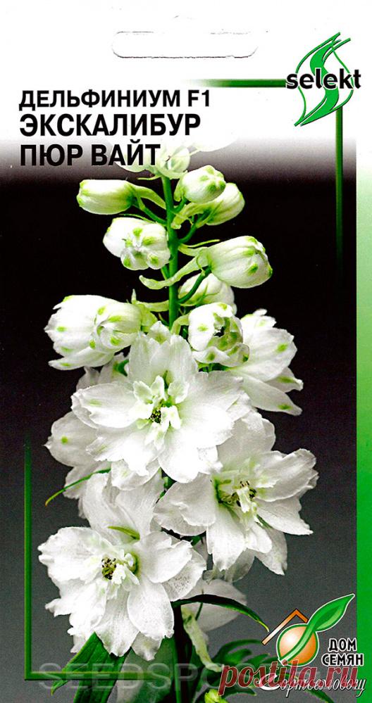Дельфиниум Экскалибур Пюр Вайт F1, 10 шт. Selekt, купить в интернет магазине Seedspost.ru