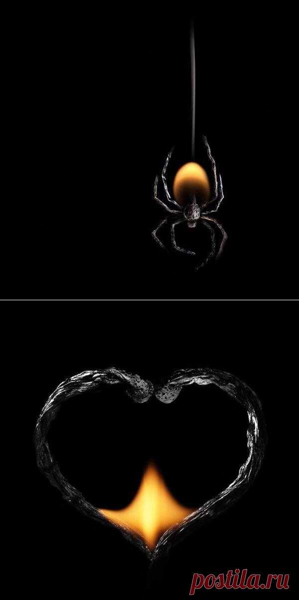 Екатеринбургский фотограф ПолТергейст работает с горящими спичками, из которых создает удивительные картины. Оттенки черного, серого и желтого, причудливые формы, которые принимают сгоревшие спички, огонь и дым, дают ПолТергейсту вдохновение придумывать самые разные сюжеты, объекты и персонажи, от новогодних елок до животных и насекомых. (24 фото)