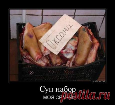 Собака-поздравляка