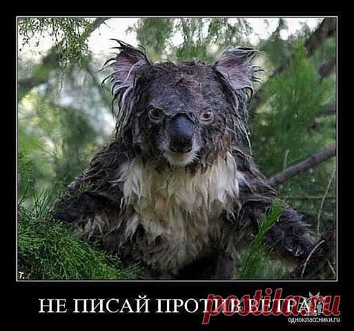 Улыбнись!
