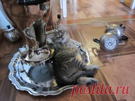 Одноклассники