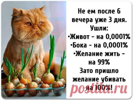 Она была хороша во всём. А без всего - просто божественна - РЖАКА - медиаплатформа МирТесен
