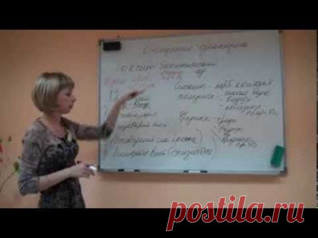 Домашнее Очищение Организма (полное): Кишечника, Печени, Почек, Крови, Лимфы, Очистка от Паразитов