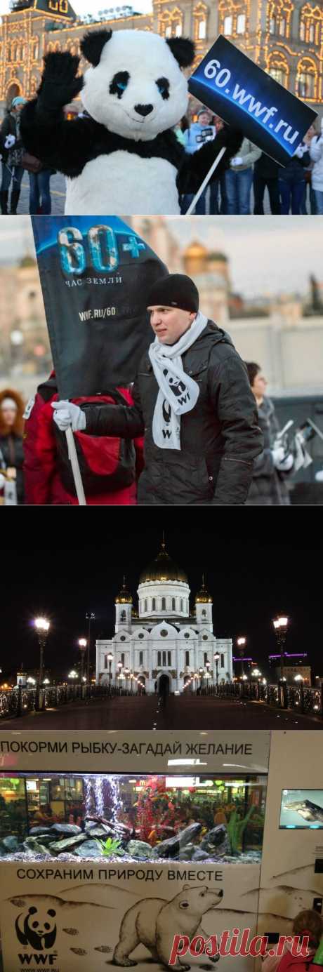 Час Земли 2015 - О Часе Земли
