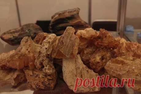 Китайцы вывозят килограммы янтаря с калининградской выставки