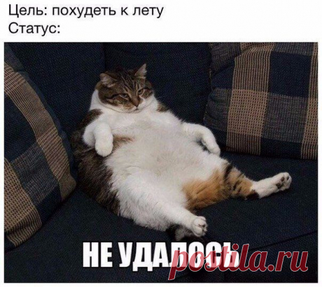 Всяко - разно 150 )))
