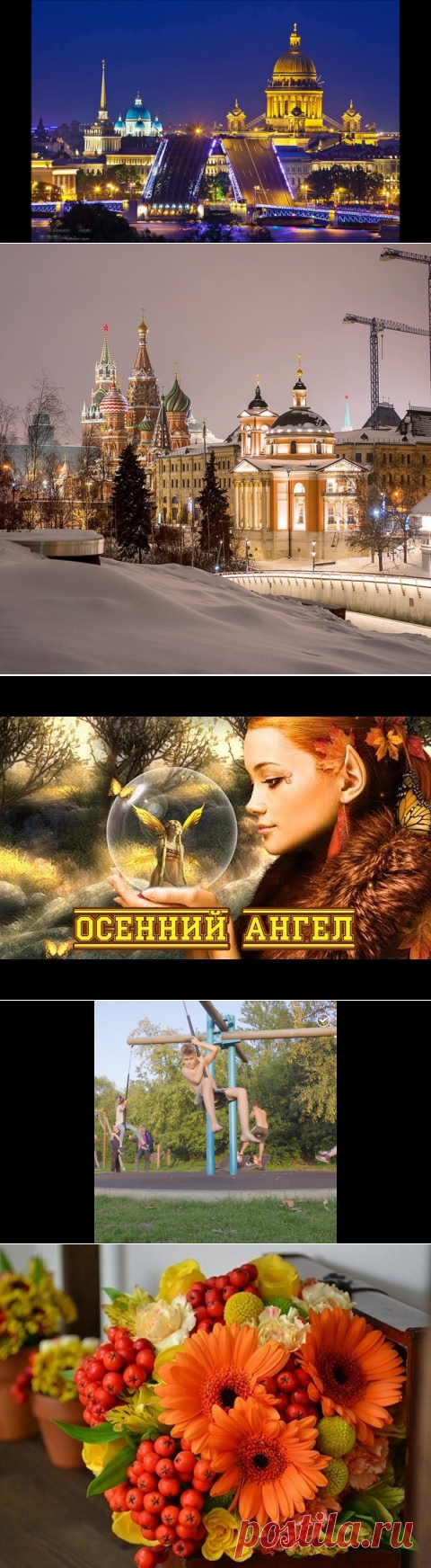Светлана Болотова