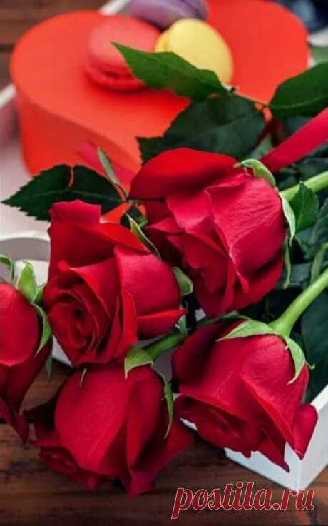 Jaber iraq Jaber - Google+