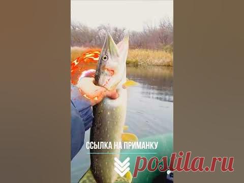 ВОБЛЕР который ЛОВИТ прчти круглый ГОД!!! 🔥👍🔥 #shorts #new #рыбалка Воблер который и на воблер то не похож, Malas - очень странная приманка, но очень уловистая. Лучше всего работает на неглубоких участках водоемов и над траво...