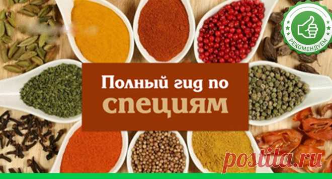 Полный список специй: что к чему подходит! - Супер шеф