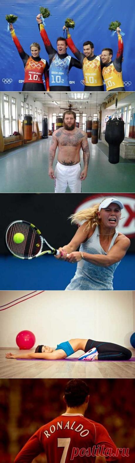 Экстремальный спорт, Армспорт, Легкая атлетика, Американский футбол, Авиационный спорт. (1/1) - Спортивный форум. - Спортивный сайт