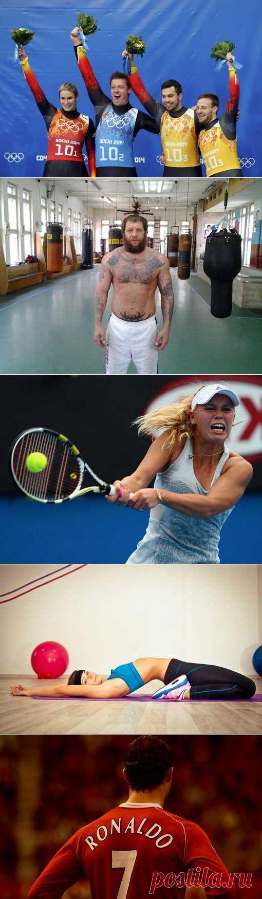 Экстремальный спорт, Армспорт, Легкая атлетика, Американский футбол, Авиационный спорт. (1/1) - Спортивный форум. - Спортивный сайт