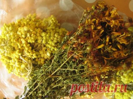 Очищение печени с лекарственными растениями | Правила здоровья и долголетия