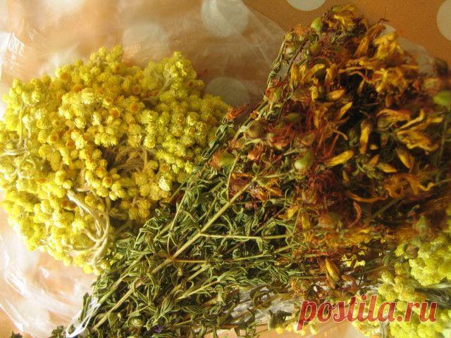 Очищение печени с лекарственными растениями | Правила здоровья и долголетия