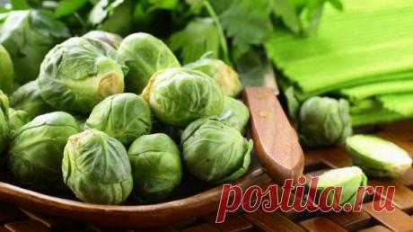 Польза брюссельской капусты.