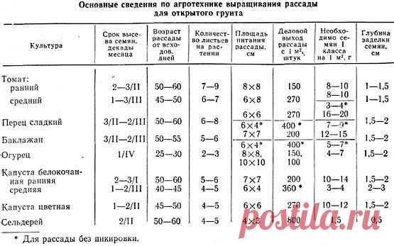 Выращивание рассады: 15 самых серьезных ошибок