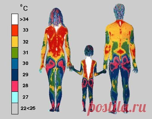 Температурный ритм нашего организма: понять и использовать