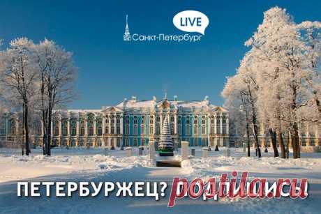 Санкт-Петербург Live