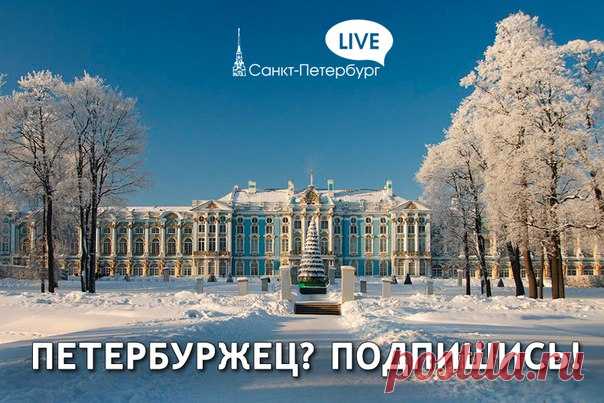 Санкт-Петербург Live