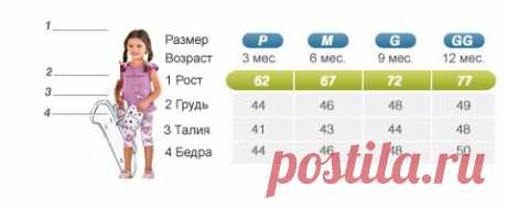 Размерная сетка одежды