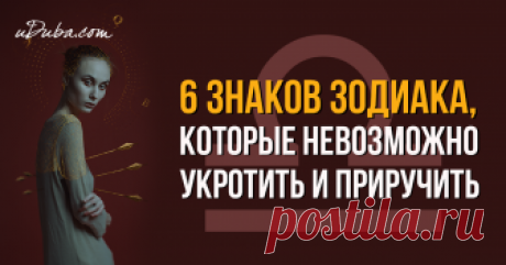Среди всех знаков зодиака, некоторых приручить и укротить попросту невозможно. Они либо слишком своевольны, либо слишком упрямы, либо слишком независимы. Поэтому не тратьте свое время и нервы на бесплодные попытки – вас в любом случае ждёт огромное разочарование. Проверьте себя, относитесь ли вы к этим шести знакам, которые не поддаются дрессировке?