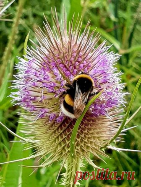 Glücksmomente aus der Natur - Fotky