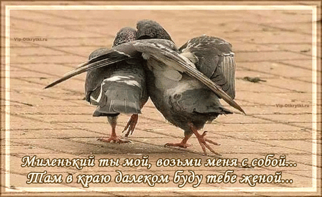 Миленький ты мой | Музыкальные Открытки Бесплатно