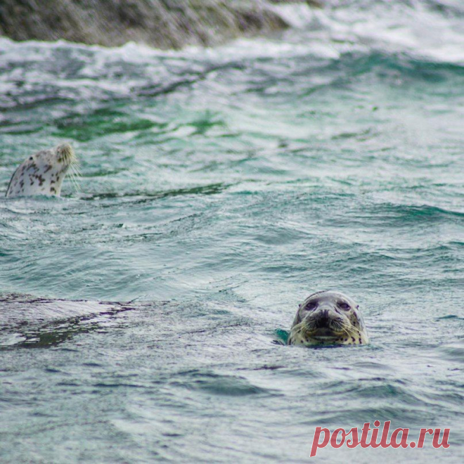 Приморье today