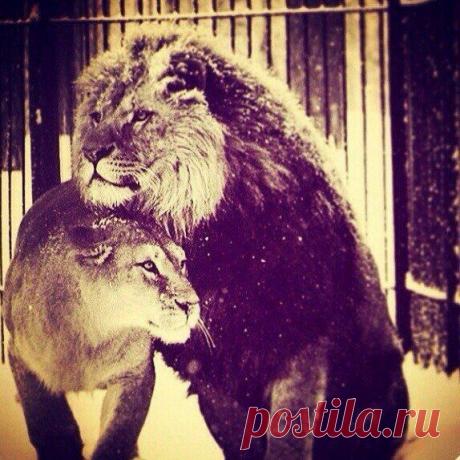 Интересные новости