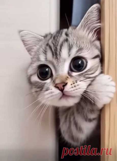Ты что кушаешь? И без Меня?...