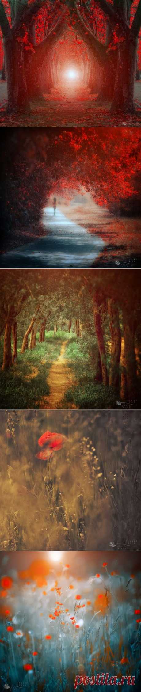 Сказочная страна. Ildiko Neer (фотографии)