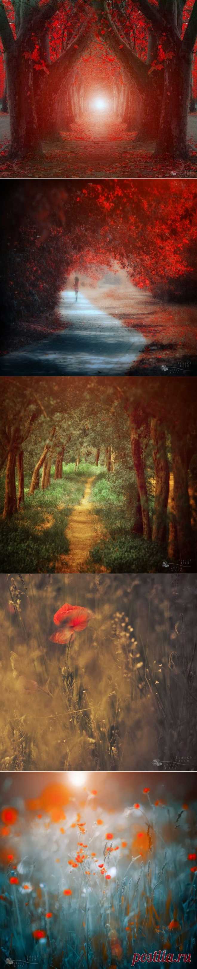Сказочная страна. Ildiko Neer (фотографии)