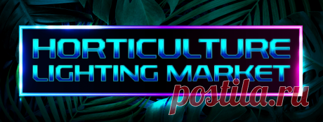 Horticulture Lighting Market Size | Global Growth Report, 2029