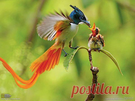 Chronik-Fotos | Facebook