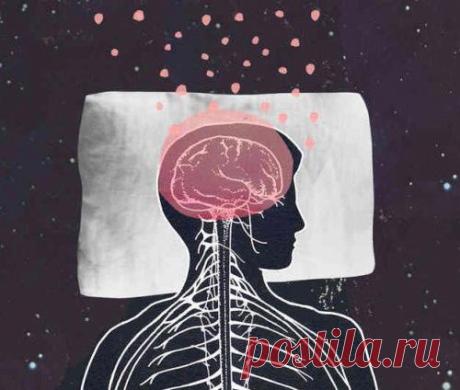 Поразительные факты о сне и сновидениях, которые вас удивят