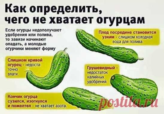 На заметку.