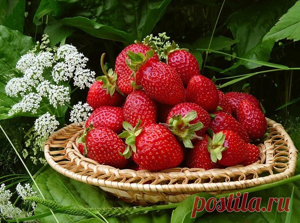 Вкусно!