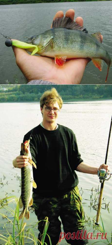 Подача в спиннинге