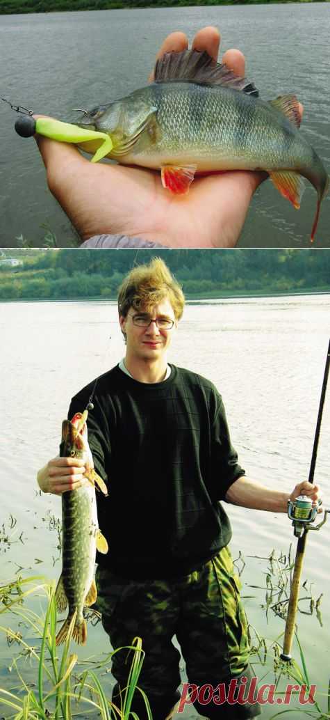 Подача в спиннинге