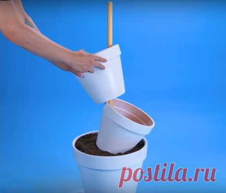Необычные садовые хитрости
