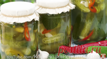 Солёные (квашеные) огурцы на зиму — Домашняя кулинария