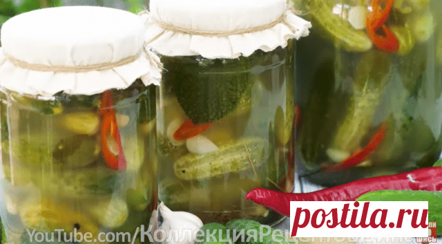 Солёные (квашеные) огурцы на зиму — Домашняя кулинария