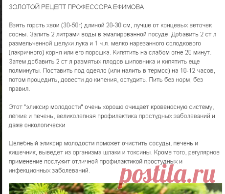 Мой Мир@Mail.Ru