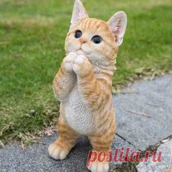 (700) Pinterest