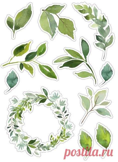 (115) Pinterest